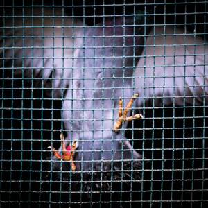 仙帝H污肉一夜没拔
