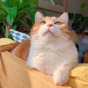 仙帝H污肉一夜没拔
